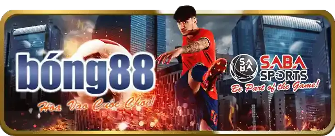 Chương trình VIP và Loyalty abu999